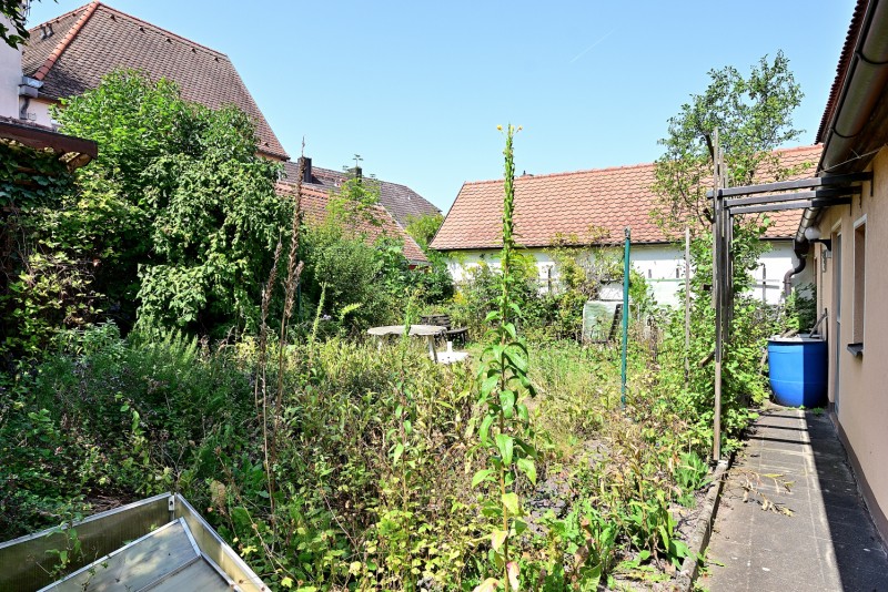 DSC_8385